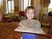 Den dětí se zvířátky